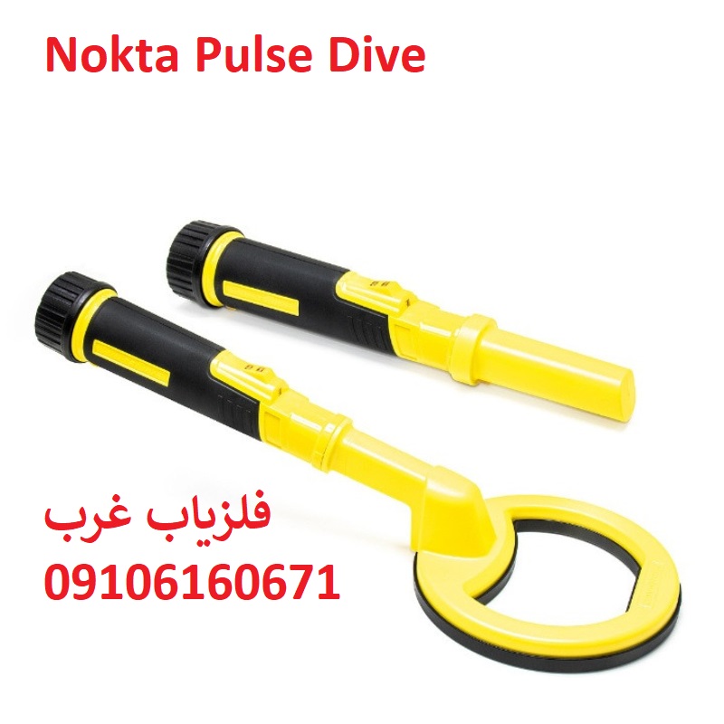 فلزیاب PulseDive